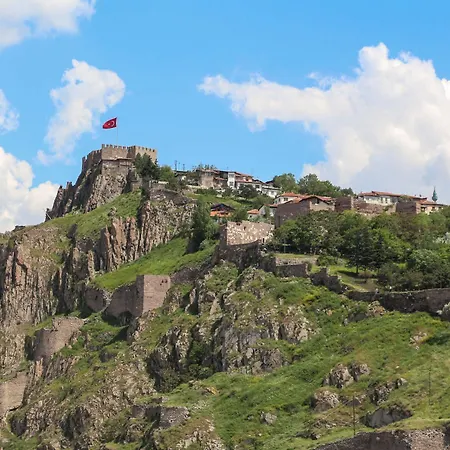 Mithat Ankara